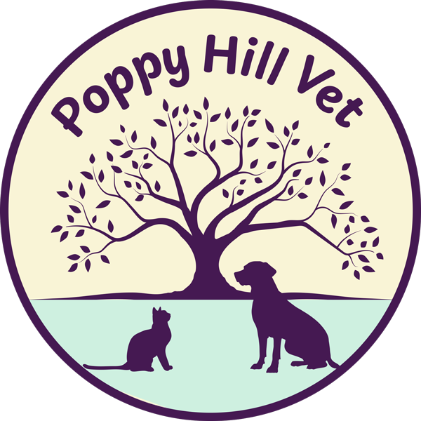 Poppy Hill Vet